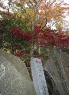 Tokyo-automne__10